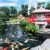 Sản phẩm thiet ke thi cong be ca koi 50x50 — Công Ty TNHH Thương Mại Và Dịch Vụ Garden Việt Nam — MST 0109073976