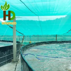 Sản phẩm luoi nuoi tom chat luong cao 300x300 — Công Ty TNHH Hoàng Dũng Green Việt Nam — MST 0109075155