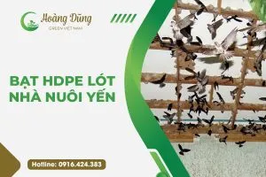 Sản phẩm bat hdpe lot nen nha nuoi yen giam chi phi tang nang suat 300x200 — Công Ty TNHH Hoàng Dũng Green Việt Nam — MST 0109075155