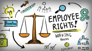 Sản phẩm NL BLog Legislation 300x167 — Bảo Hộ Lao Động Phú Hà - Công Ty TNHH SX Và Kinh Doanh Phú Hà — MST 0109081896