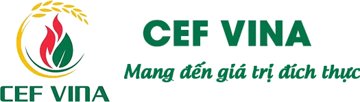 Logo Công Ty TNHH CEF Việt Nam