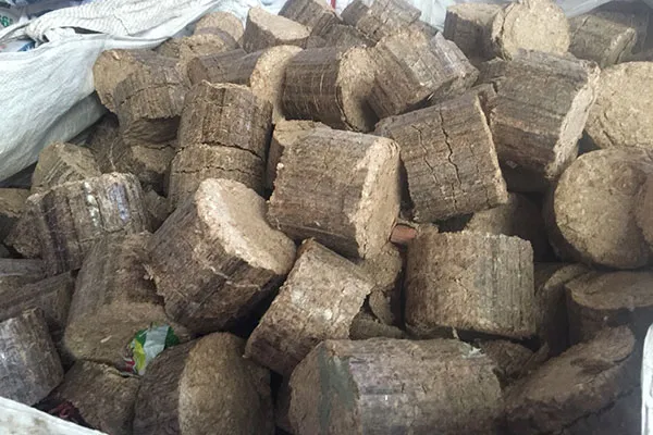 Sản phẩm anh 9 — Công Ty TNHH CEF Việt Nam — MST 0109090499
