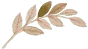 Sản phẩm n_title_tree — Công Ty TNHH CEF Việt Nam — MST 0109090499