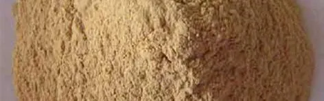 Sản phẩm z5774429263999_b215935a0dd3e4cf9c6c23d64eadcc84 472x147 — Công Ty TNHH CEF Việt Nam — MST 0109090499
