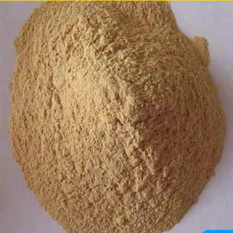 Sản phẩm z5774429263999_b215935a0dd3e4cf9c6c23d64eadcc84 — Công Ty TNHH CEF Việt Nam — MST 0109090499