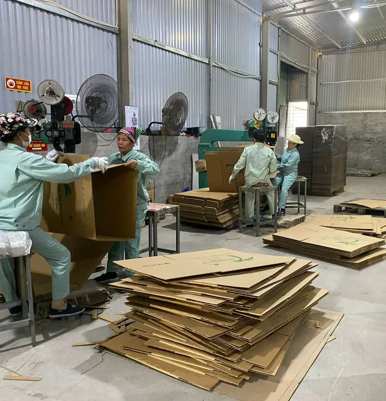 Sản phẩm lam2 — Công Ty TNHH Đầu Tư Và Sản Xuất Bao Bì Đức Tuấn — MST 0109095296