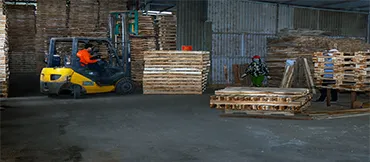 Sản phẩm nho 3 — Pallet Gỗ BNG - Công Ty TNHH XNK BNG — MST 0109095560