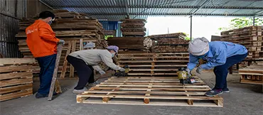 Sản phẩm nho1 — Pallet Gỗ BNG - Công Ty TNHH XNK BNG — MST 0109095560