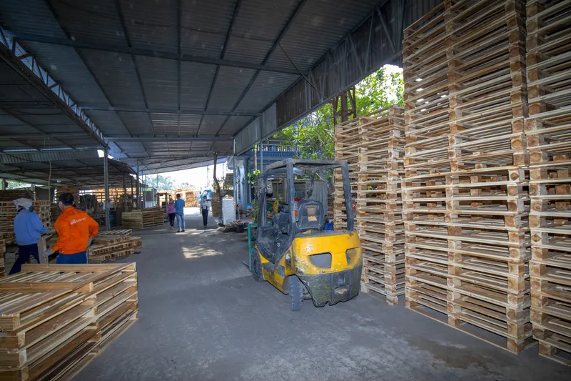 Sản phẩm nho4 — Pallet Gỗ BNG - Công Ty TNHH XNK BNG — MST 0109095560