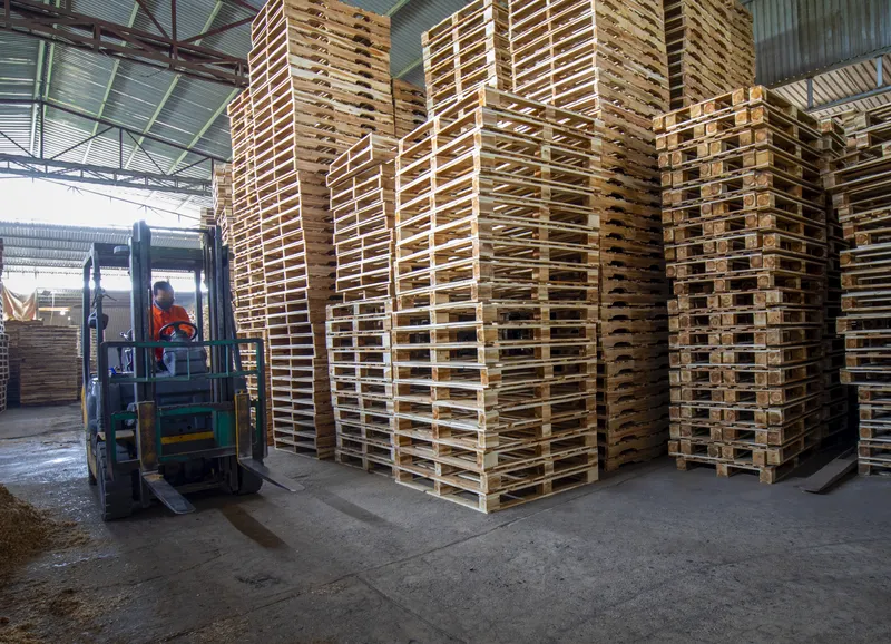 Sản phẩm nho5 — Pallet Gỗ BNG - Công Ty TNHH XNK BNG — MST 0109095560