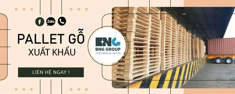 Sản phẩm z4261579098093_66a45cbbdb9cdbc77baef7ea4c0e6291 — Pallet Gỗ BNG - Công Ty TNHH XNK BNG — MST 0109095560