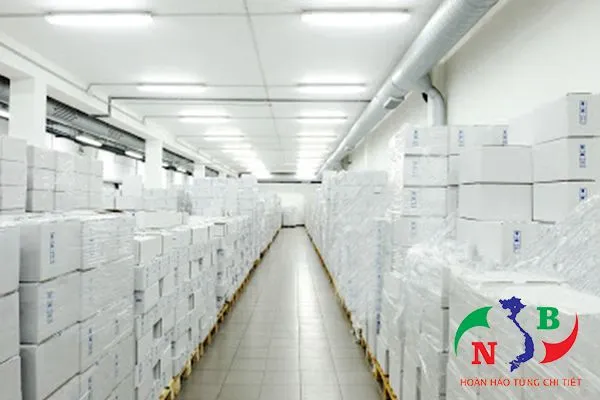 Sản phẩm cho thue kho dong lanh 1 — Công Ty CP Công Nghệ Tân Nam Bắc — MST 0109111607