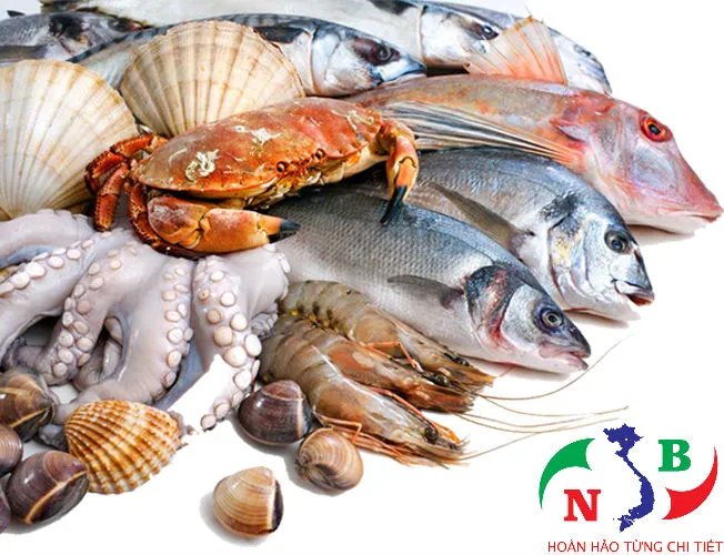 Sản phẩm kho lanh bao quan hai san3 1 — Công Ty CP Công Nghệ Tân Nam Bắc — MST 0109111607