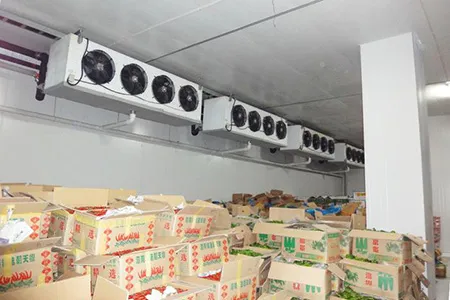 Sản phẩm kho lanh nong san — Công Ty CP Công Nghệ Tân Nam Bắc — MST 0109111607