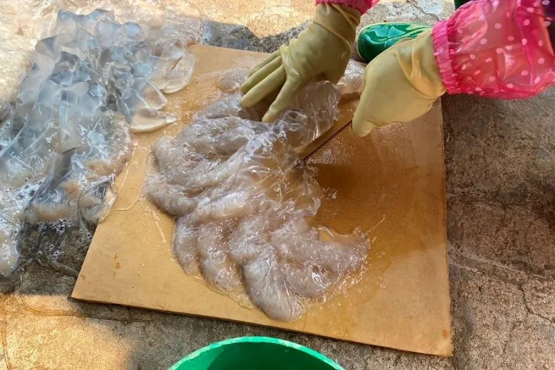 Sản phẩm kho_lanh_bao_quan_sua — Công Ty CP Công Nghệ Tân Nam Bắc — MST 0109111607