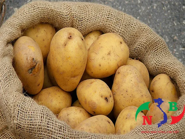 Sản phẩm kt — Công Ty CP Công Nghệ Tân Nam Bắc — MST 0109111607