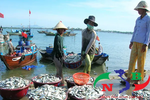 Sản phẩm nghị đinh — Công Ty CP Công Nghệ Tân Nam Bắc — MST 0109111607