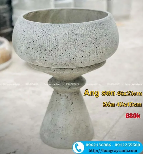 Sản phẩm ang sen xi mang nhe — Công Ty TNHH Dịch Vụ Cây Xanh Trung Nguyên — MST 0109117743
