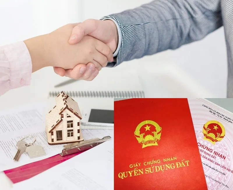 Sản phẩm quyen su dung dat la gi 2_1676517676 — Công Ty Luật Trách Nhiệm Hữu Hạn Standard — MST 0109120104