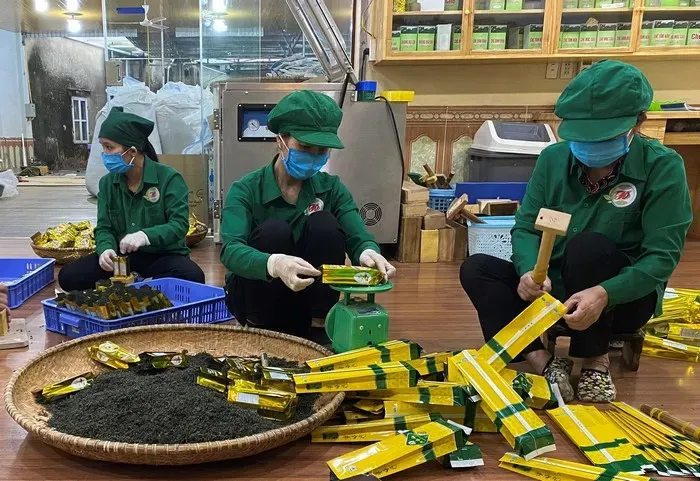 Sản phẩm dong goi hut chan khong che_4472_HasThumb — Công Ty TNHH Điện Máy Viteko — MST 0109133431
