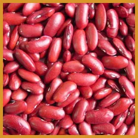 Sản phẩm DAUDO — Gia Công Sữa Hạt Otis Việt Nam - Công Ty Cổ Phần Thương Mại Quốc Tế Otis Việt
Nam — MST 0109138101