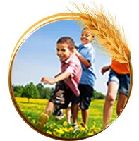 Sản phẩm DE KHANGG 1 — Gia Công Sữa Hạt Otis Việt Nam - Công Ty Cổ Phần Thương Mại Quốc Tế Otis Việt
Nam — MST 0109138101