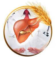 Sản phẩm GAN — Gia Công Sữa Hạt Otis Việt Nam - Công Ty Cổ Phần Thương Mại Quốc Tế Otis Việt
Nam — MST 0109138101
