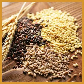 Sản phẩm GAOLUC — Gia Công Sữa Hạt Otis Việt Nam - Công Ty Cổ Phần Thương Mại Quốc Tế Otis Việt
Nam — MST 0109138101