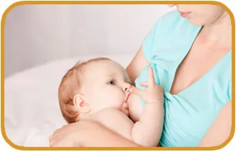 Sản phẩm NC MEBAU — Gia Công Sữa Hạt Otis Việt Nam - Công Ty Cổ Phần Thương Mại Quốc Tế Otis Việt
Nam — MST 0109138101