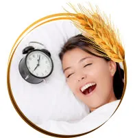 Sản phẩm NGU 1 — Gia Công Sữa Hạt Otis Việt Nam - Công Ty Cổ Phần Thương Mại Quốc Tế Otis Việt
Nam — MST 0109138101