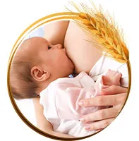 Sản phẩm SUA ME — Gia Công Sữa Hạt Otis Việt Nam - Công Ty Cổ Phần Thương Mại Quốc Tế Otis Việt
Nam — MST 0109138101