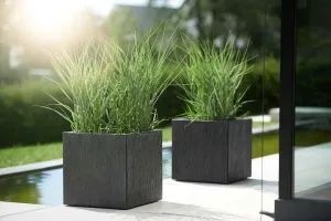 Sản phẩm 401263_05 300x200 — Công Ty TNHH Thương Mại Và Dịch Vụ Thế Kỷ Xanh — MST 0109139176