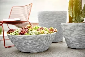 Sản phẩm Esteras 5 300x200 — Công Ty TNHH Thương Mại Và Dịch Vụ Thế Kỷ Xanh — MST 0109139176