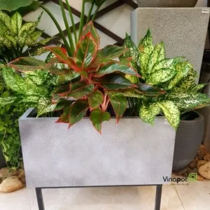 Sản phẩm Chau go nhua vinapot 1 300x300 — Công Ty TNHH Thương Mại Và Dịch Vụ Thế Kỷ Xanh — MST 0109139176