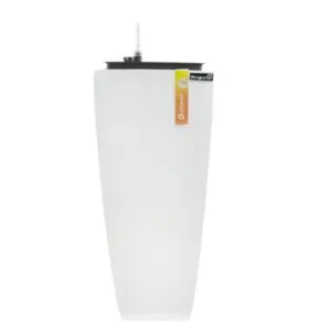 Sản phẩm ROCH 1 300x300 — Công Ty TNHH Thương Mại Và Dịch Vụ Thế Kỷ Xanh — MST 0109139176