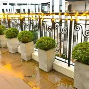 Sản phẩm chau go nhua tron 1 300x300 — Công Ty TNHH Thương Mại Và Dịch Vụ Thế Kỷ Xanh — MST 0109139176
