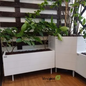 Sản phẩm chau go nhua vat goc 1 300x300 — Công Ty TNHH Thương Mại Và Dịch Vụ Thế Kỷ Xanh — MST 0109139176
