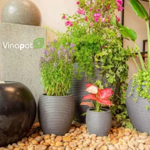 Sản phẩm chau xi mang nhe xuat khau 1 300x300 — Công Ty TNHH Thương Mại Và Dịch Vụ Thế Kỷ Xanh — MST 0109139176