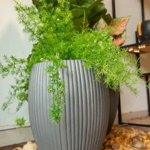 Sản phẩm chau xi mang nhe xuat khau 13 1 300x300 — Công Ty TNHH Thương Mại Và Dịch Vụ Thế Kỷ Xanh — MST 0109139176
