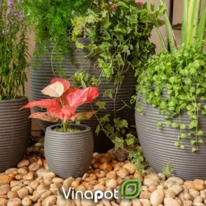 Sản phẩm chau xi mang nhe xuat khau 21 300x300 — Công Ty TNHH Thương Mại Và Dịch Vụ Thế Kỷ Xanh — MST 0109139176
