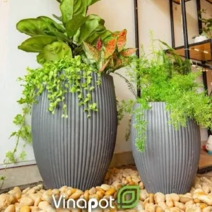 Sản phẩm chau xi mang nhe xuat khau 38 Copy 300x300 — Công Ty TNHH Thương Mại Và Dịch Vụ Thế Kỷ Xanh — MST 0109139176