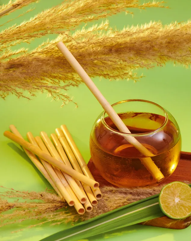 Sản phẩm ong hut thien nhien co say manast 1 — Công Ty TNHH SX Và Kinh Doanh ống Hút Cỏ Sậy Thân Thiện Môi Trường Mana.ST — MST 0109149569
