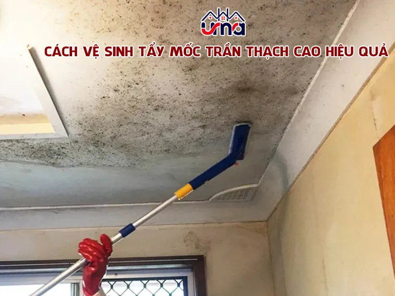 Sản phẩm video_cong_ty_hoan_my_LHH — Công Ty TNHH Khử Trùng & Vệ Sinh Hà Nội — MST 0109158179