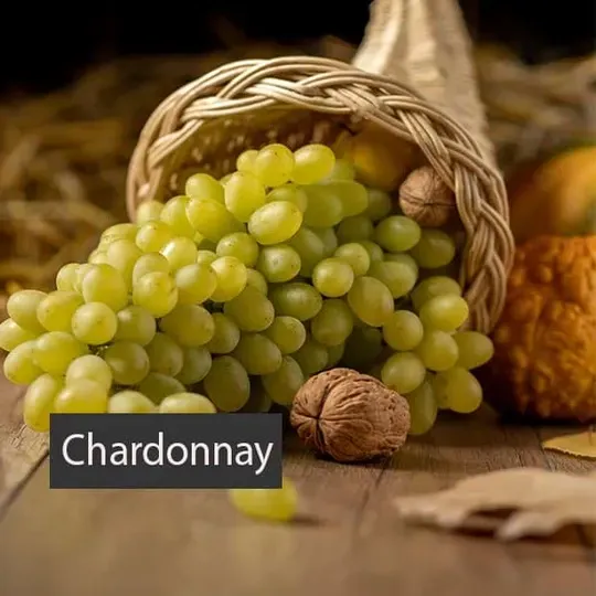 Sản phẩm chardonnay vtdevs — Cửa Hàng Rượu Vang VN — MST 0109190077