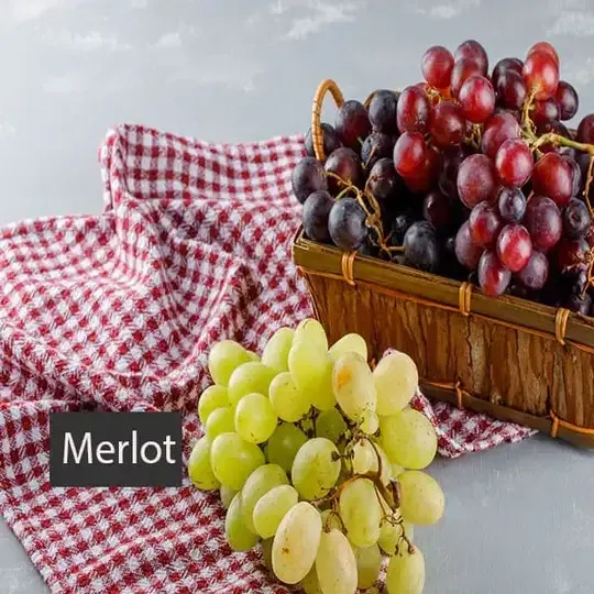 Sản phẩm merlot vtdevs — Cửa Hàng Rượu Vang VN — MST 0109190077