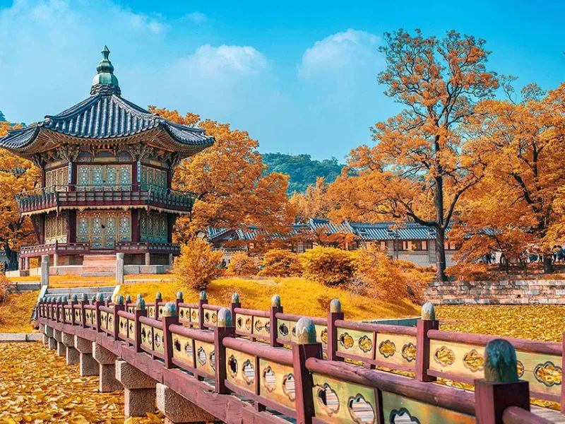 Sản phẩm mua thu Han Quoc TOURTRANLE — Công Ty TNHH Du Lịch Và Thương Mại Trần Lê — MST 0109216381