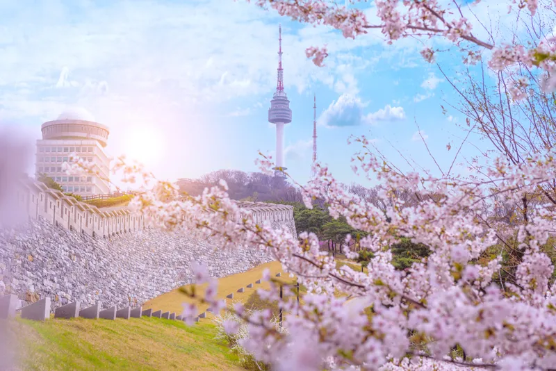 Sản phẩm thap namsan han quoc — Công Ty TNHH Du Lịch Và Thương Mại Trần Lê — MST 0109216381