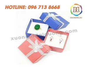 Sản phẩm hop trang suc 26 300x231 — Công Ty Cổ Phần In Nhanh Đại Dương — MST 0109230121