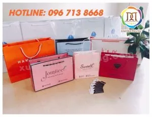 Sản phẩm in tui giay 3 300x231 — Công Ty Cổ Phần In Nhanh Đại Dương — MST 0109230121