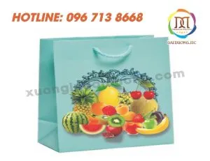 Sản phẩm in tui giay 6 300x231 — Công Ty Cổ Phần In Nhanh Đại Dương — MST 0109230121